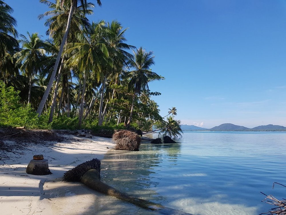 Plage sauvage de Candaraman — sable blanc, cocotiers penchés et eaux transparentes