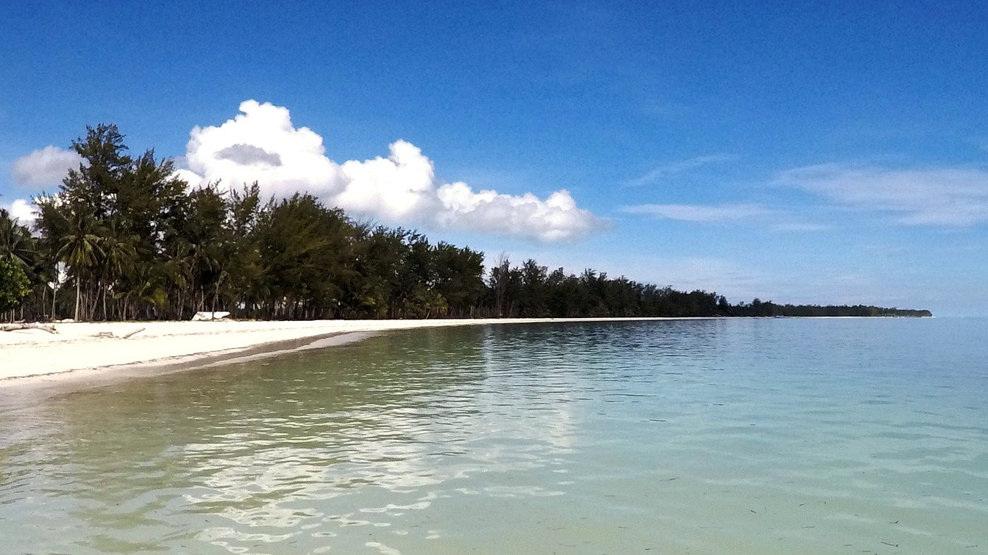 Longue plage déserte de Punta Sebaring bordée de casuarinas, eau translucide