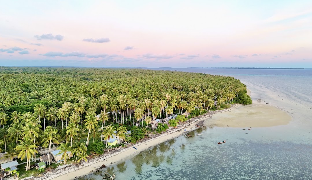 Vue aérienne du littoral de Bancalan au coucher du soleil — cocoteraie, banc de sable et lagon peu profond