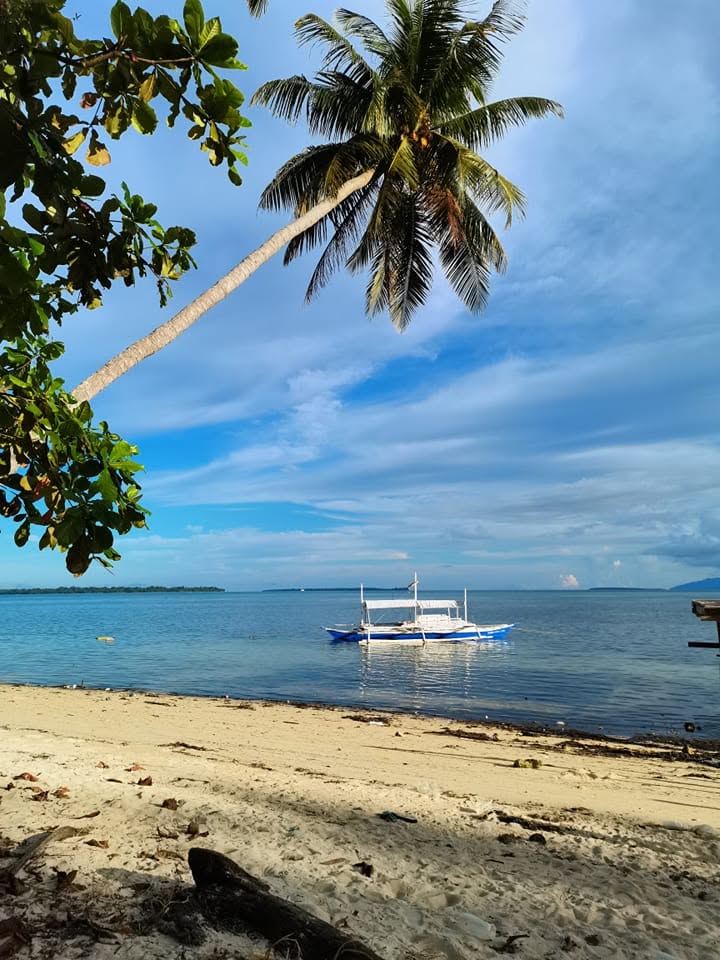 Bangka à balanciers devant une plage de sable clair et un cocotier penché à Bancalan