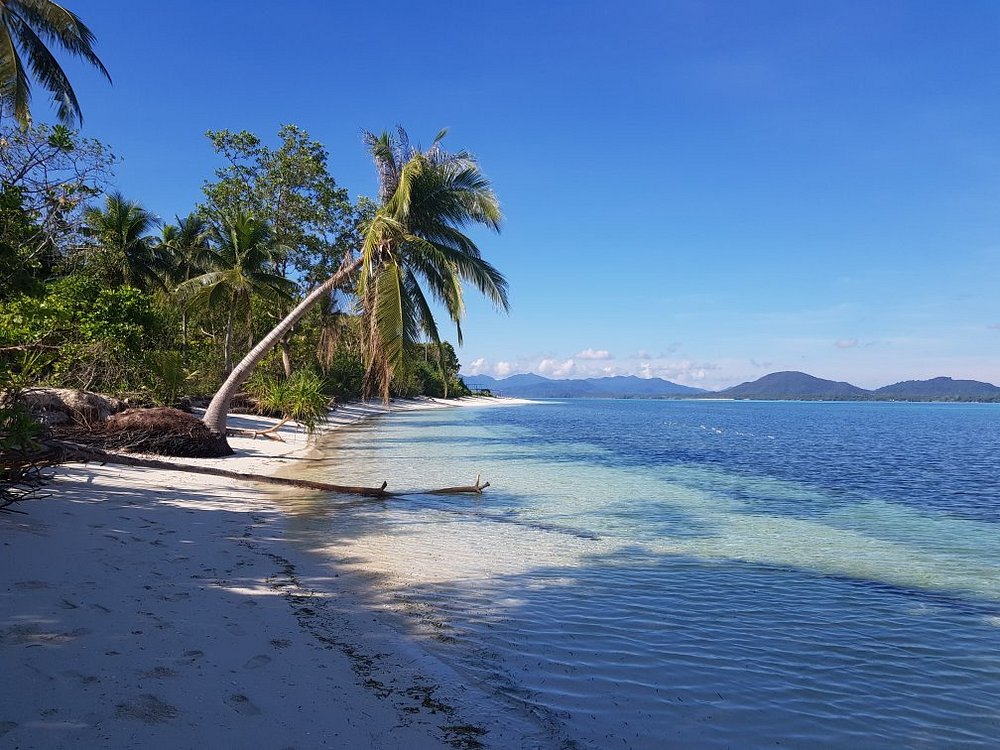 Longue plage de sable blanc de Candaraman bordée de cocotiers, lagon translucide